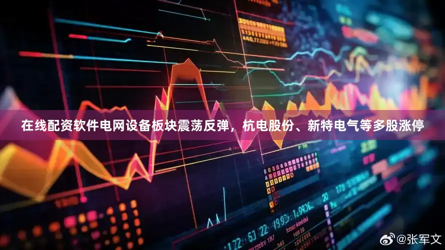 在线配资软件电网设备板块震荡反弹，杭电股份、新特电气等多股涨停