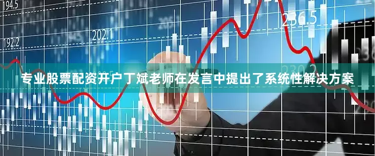 专业股票配资开户丁斌老师在发言中提出了系统性解决方案
